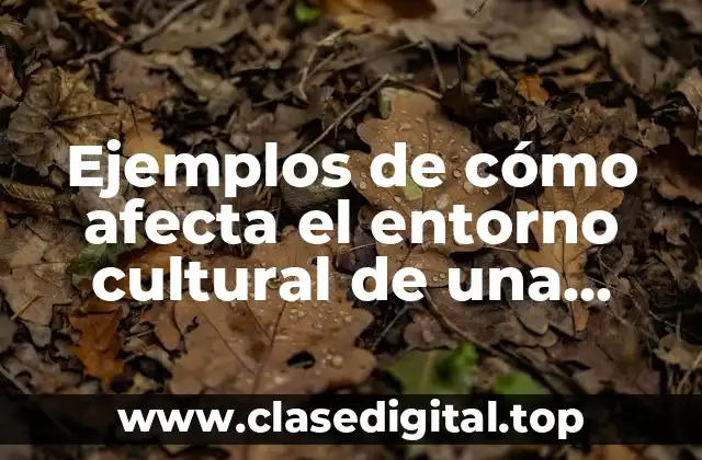 Ejemplos de cómo afecta el entorno cultural de una empresa
