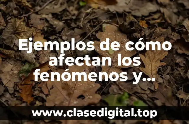 Ejemplos de cómo afectan los fenómenos y desastres naturales