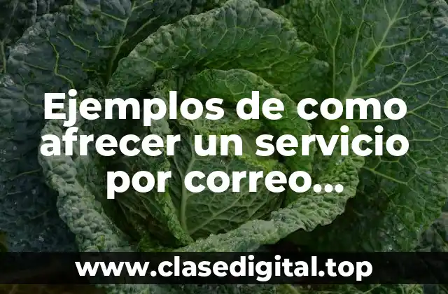 Ejemplos de como afrecer un servicio por correo electrónico y Significado