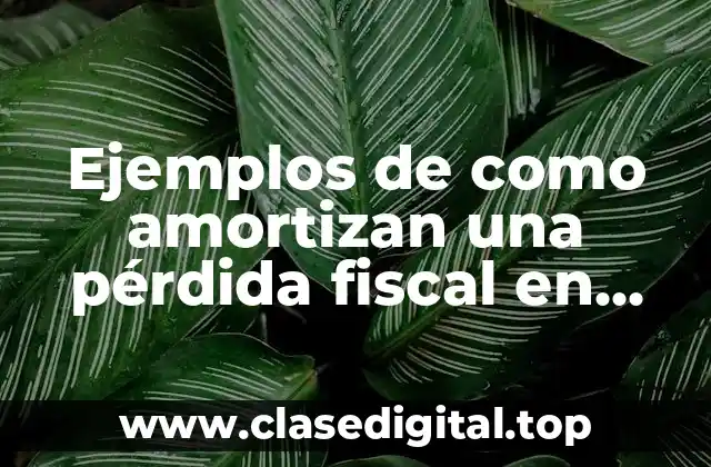 Ejemplos de como amortizan una pérdida fiscal en pagos provisionales