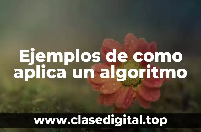 Ejemplos de como aplica un algoritmo