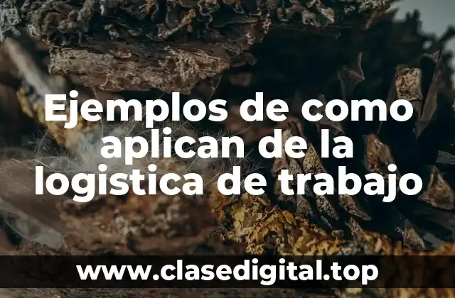 Ejemplos de como aplican de la logistica de trabajo