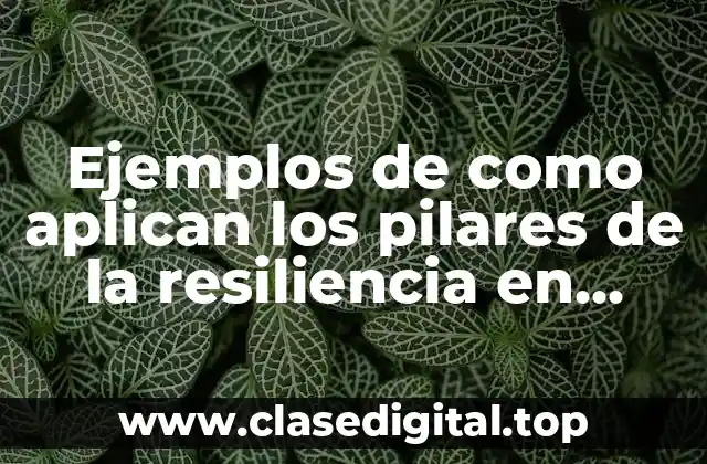 Ejemplos de como aplican los pilares de la resiliencia en tareas y Significado