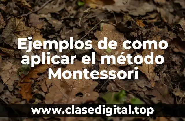 Ejemplos de como aplicar el método Montessori