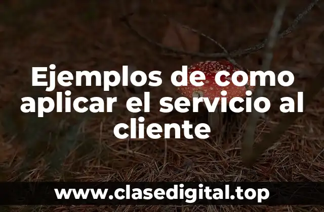 Ejemplos de como aplicar el servicio al cliente