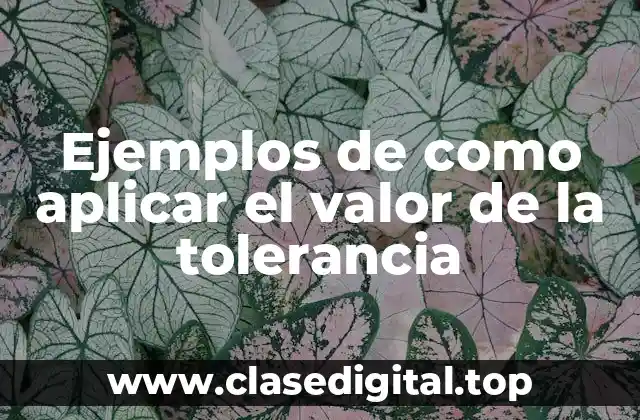 Ejemplos de como aplicar el valor de la tolerancia