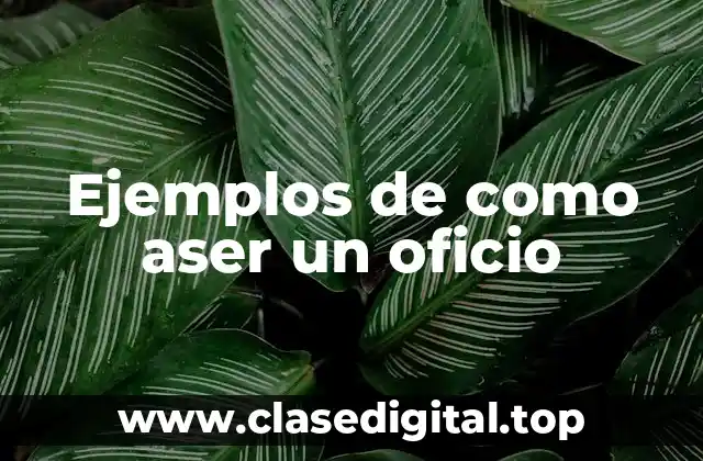 Ejemplos de como aser un oficio