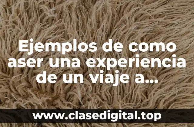 Ejemplos de como aser una experiencia de un viaje a Veracruz y Significado