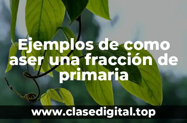 Ejemplos de como aser una fracción de primaria