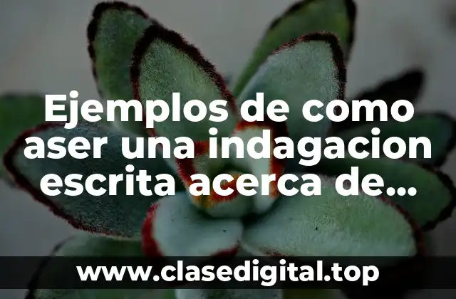 Ejemplos de como aser una indagacion escrita acerca de tema