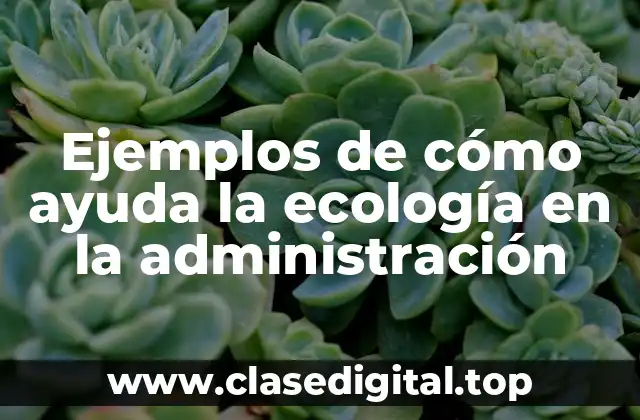 Ejemplos de cómo ayuda la ecología en la administración