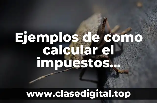 Ejemplos de como calcular el impuestos aduanales en México y Significado