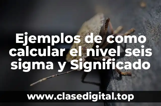 Ejemplos de como calcular el nivel seis sigma y Significado