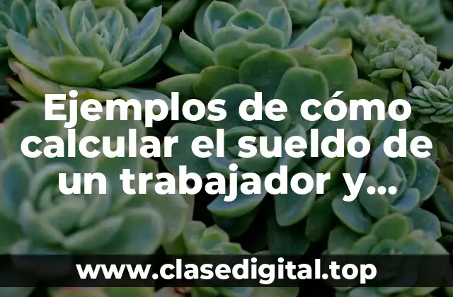 Ejemplos de cómo calcular el sueldo de un trabajador y Significado