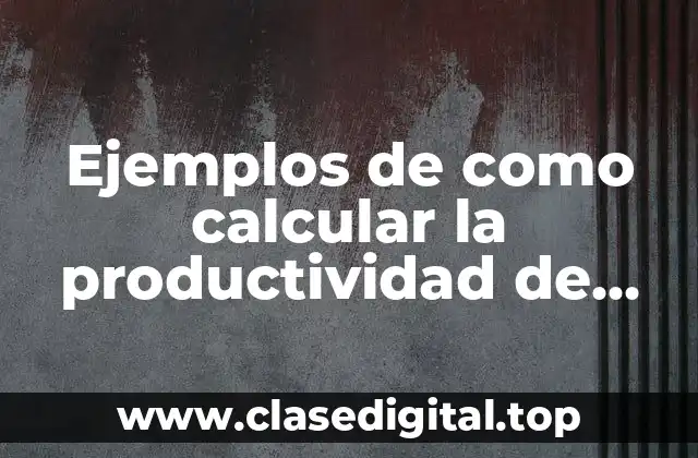 Ejemplos de como calcular la productividad de una empresa