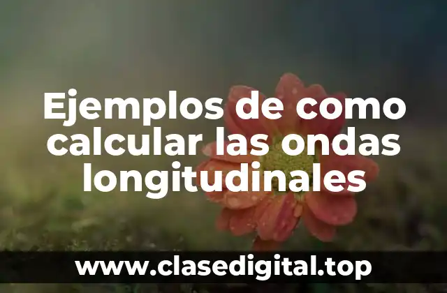 Ejemplos de como calcular las ondas longitudinales