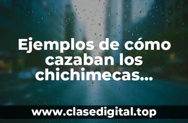 Ejemplos de cómo cazaban los chichimecas animales dentro del río y Significado