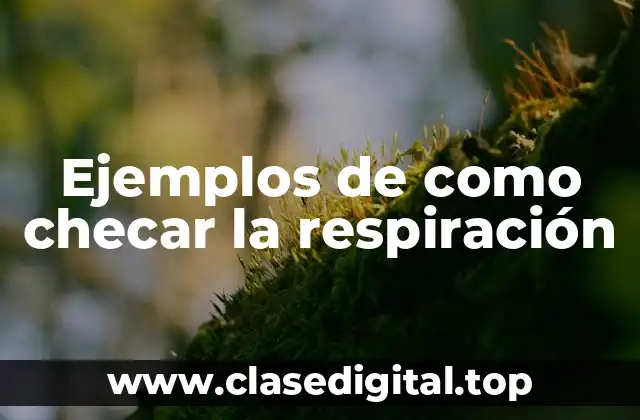 Ejemplos de como checar la respiración