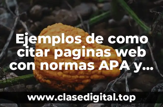 Ejemplos de como citar paginas web con normas APA y Significado