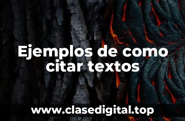 Ejemplos de como citar textos