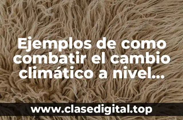 Ejemplos de como combatir el cambio climático a nivel mundial