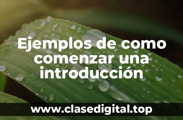 Ejemplos de como comenzar una introducción