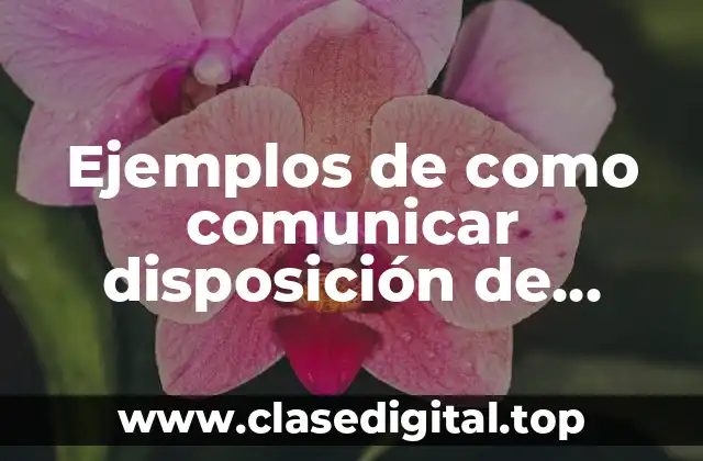 Ejemplos de como comunicar disposición de trabajar