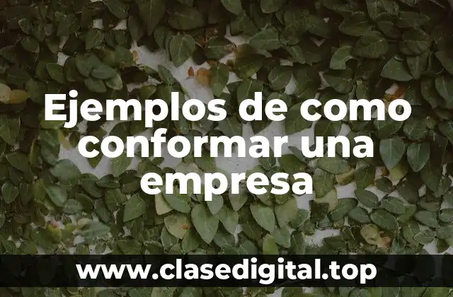 Ejemplos de como conformar una empresa
