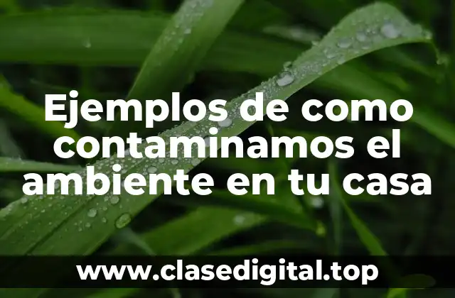 Ejemplos de como contaminamos el ambiente en tu casa