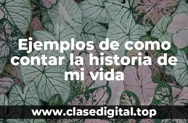Ejemplos de como contar la historia de mi vida
