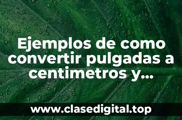 Ejemplos de como convertir pulgadas a centimetros y Significado