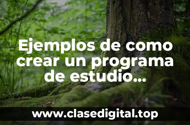 Ejemplos de como crear un programa de estudio secundaria