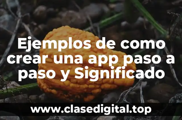 Ejemplos de como crear una app paso a paso y Significado