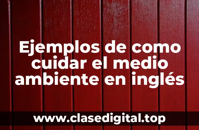 Ejemplos de como cuidar el medio ambiente en inglés