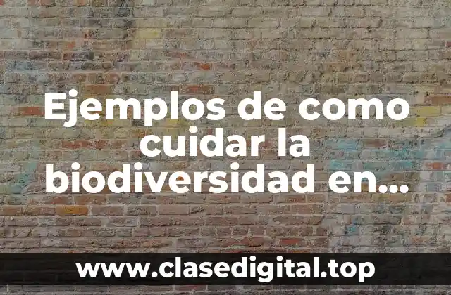 Ejemplos de como cuidar la biodiversidad en México