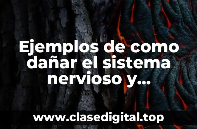 Ejemplos de como dañar el sistema nervioso y Significado