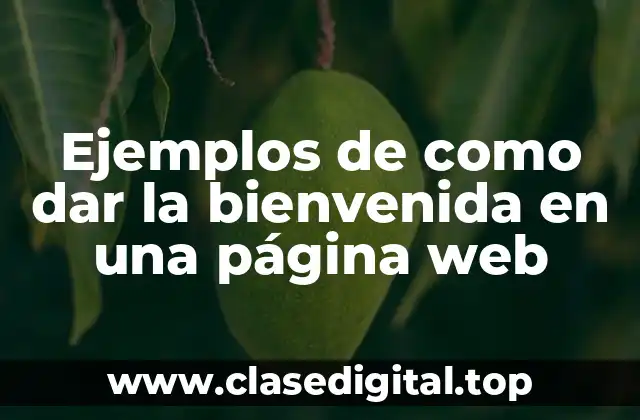 Ejemplos de como dar la bienvenida en una página web