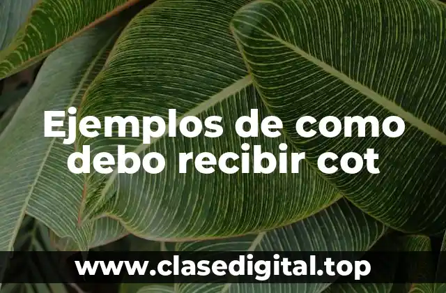 Ejemplos de como debo recibir cot