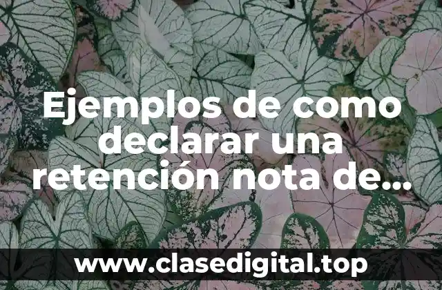Ejemplos de como declarar una retención nota de crédito