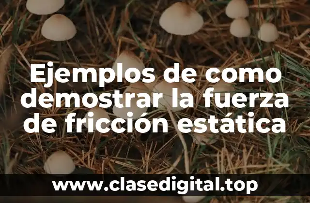 Ejemplos de como demostrar la fuerza de fricción estática
