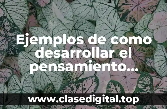 Ejemplos de como desarrollar el pensamiento matemático