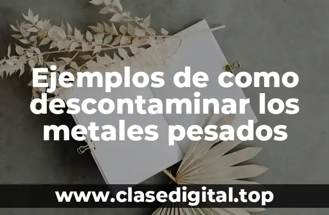 Ejemplos de como descontaminar los metales pesados