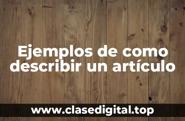 Ejemplos de cómo describir un artículo