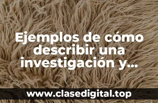 Ejemplos de cómo describir una investigación y Significado