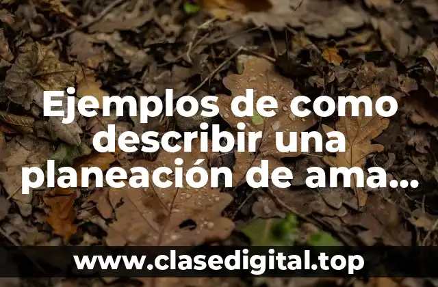 Ejemplos de planeaciones de ama de llaves