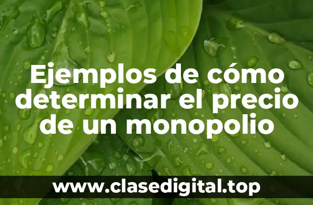 Ejemplos de cómo determinar el precio de un monopolio