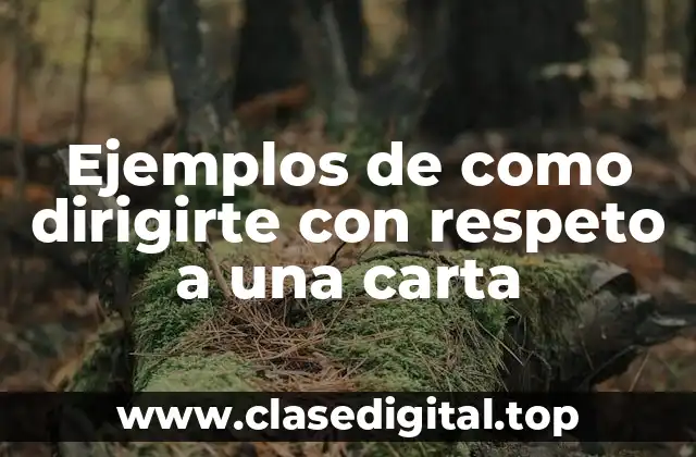 Ejemplos de como dirigirte con respeto a una carta