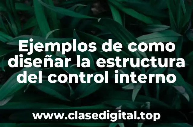 Ejemplos de como diseñar la estructura del control interno