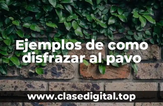 Ejemplos de como disfrazar al pavo