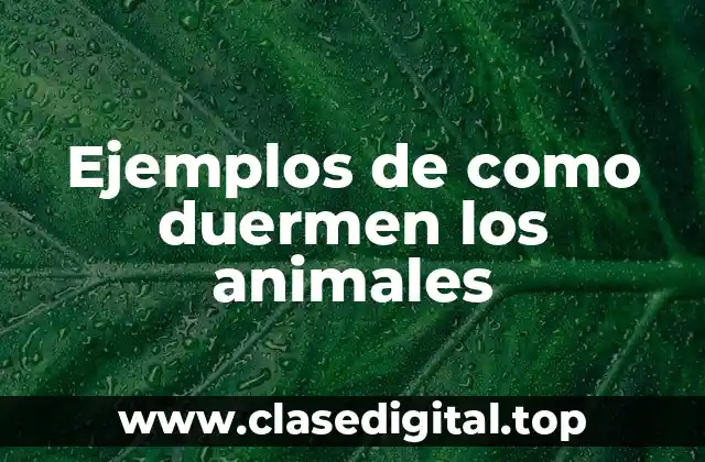 Ejemplos de como duermen los animales